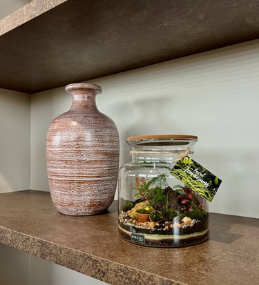 terrarium unique réalisé par Bocal terrarium à Clermont-Ferrand