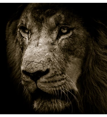 confiance-en-soi-estime-de-soi-hypnose-hypnnosia.fr