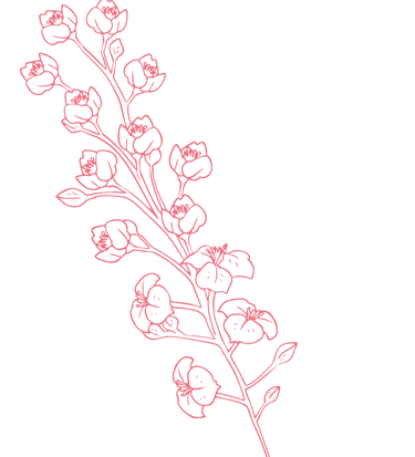 Motif décoratif fleurs - Wendy Baqué, chroniqueuse littéraire.