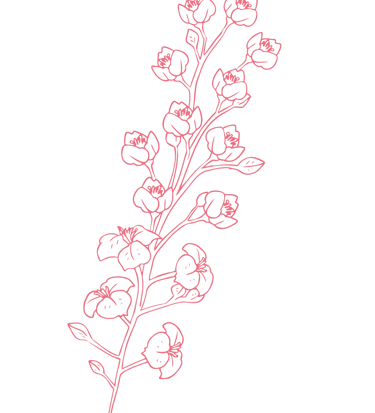 Motif décoratif fleurs - Wendy Baqué, chroniqueuse littéraire.