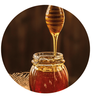 Bouche Cognac VS (Roue des arômes)