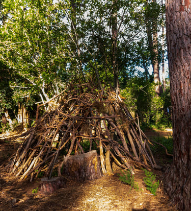 building shelter in the wild
