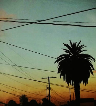Palm Trees and Alleyways (Compton, CA - circa 2003)