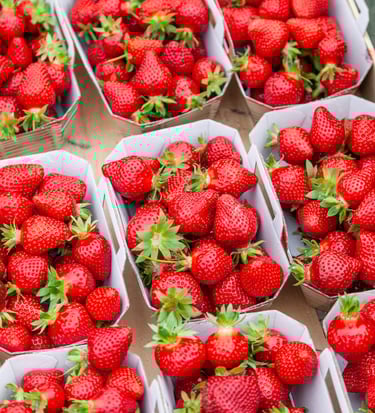 Panier de fraises bio fraîches récoltées dans notre verger familial en Savoie – La Ferme du Coteau