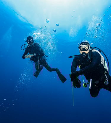 divers underwater