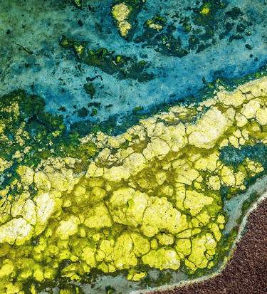 rivière jaune et bleue, lien vers coaching de transition