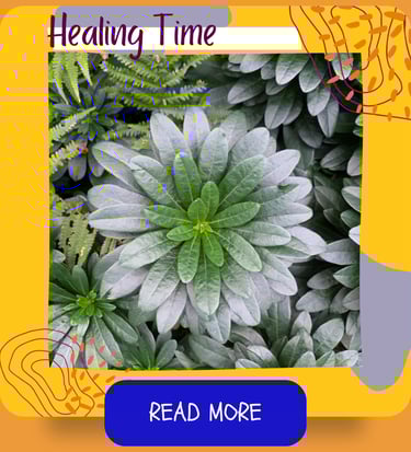 Holistic healing practices time. A nature mandala of a green plant.