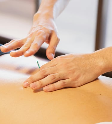 ACUPUNCTURE BASTIA ACUPUNCTEUR BASTIA