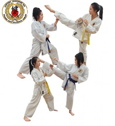 Kenyukan Goju Ryu Karate