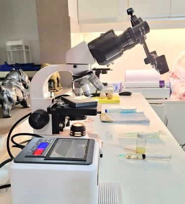 Procedimiento de inseminación artificial en laboratorio veterinario