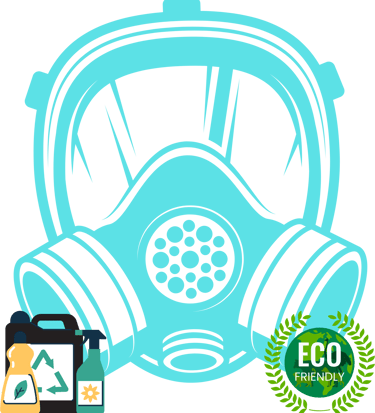 Eco-friendly mold removal in Ottawa