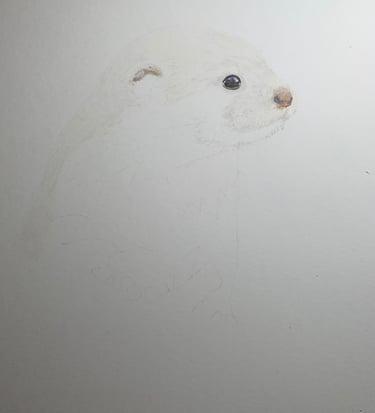 Otter