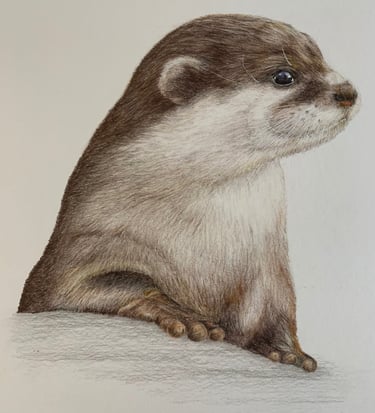 Otter