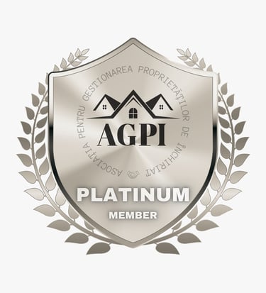 a silver plated badge with a silver and silver badge