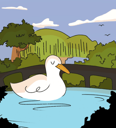 a duckling in a pond with a bridge in the background. By Diane Mulolo Faida