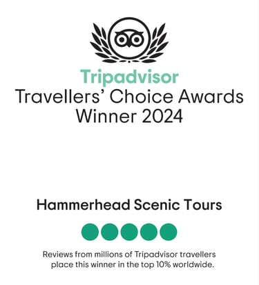2024 TripAdvisor-Travellers'Choice Award Winner 2024