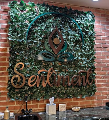 Sentiment Sessions Wellness Spa front counter backdrop