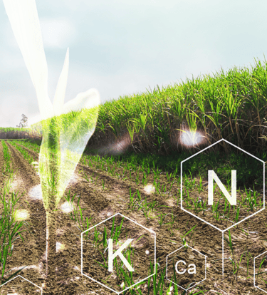 Irrigated field with chemical symbols and a clean water stream, visualizing water purification.