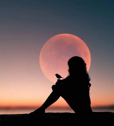 femme assise avec un oiseau devant la lune qui accompagne son voyage intérieur