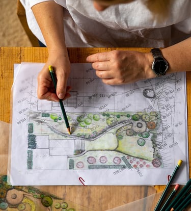 dizaineris piešia kraštovaizdžio eskizą spalvotu pieštuku