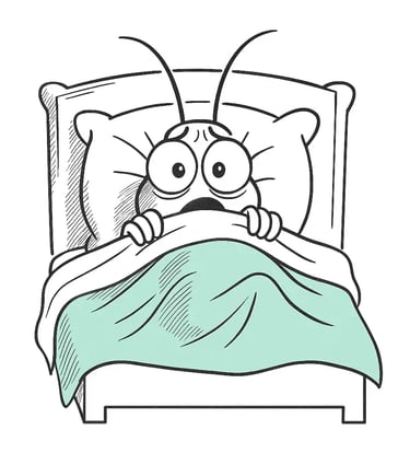 Punaise de Lit