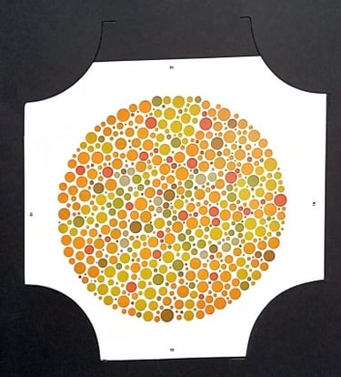 colour vision book hidden digit plate 2