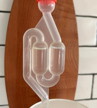 s airlock