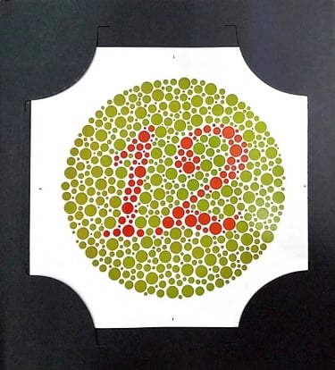 colour vision book plate no 12