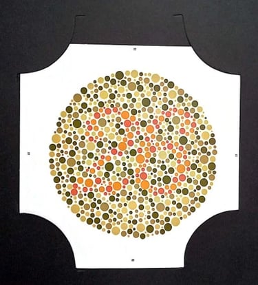 colour vision book plate no 26