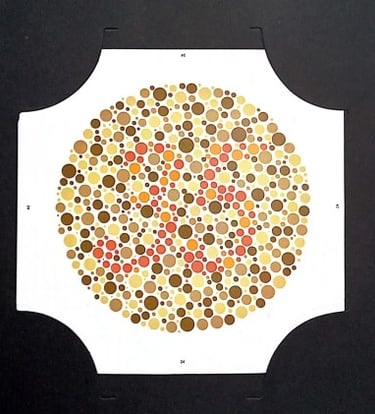 colour vision book plate no 35