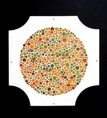 colour vision book hidden digit plate 5