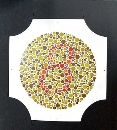 colour vision book plate no 8