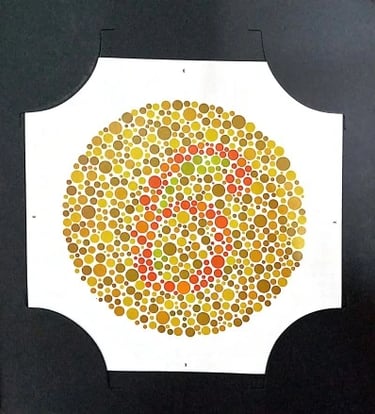 colour vision book plate no 6