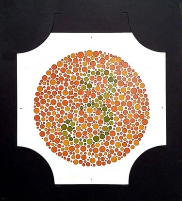 colour vision book plate no 3