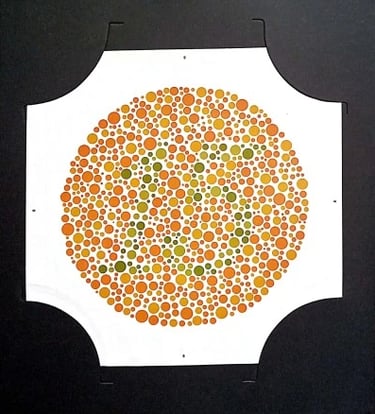 colour vision book plate no 15