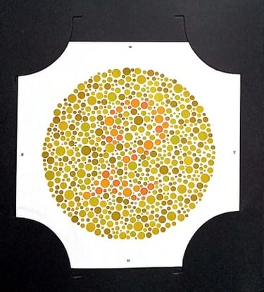 colour vision book plate no 2