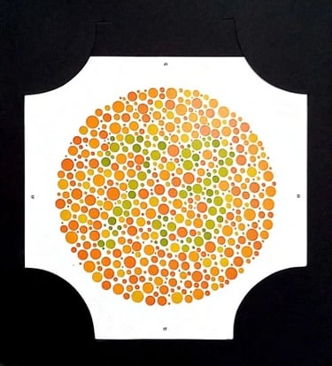 colour vision book plate no 73