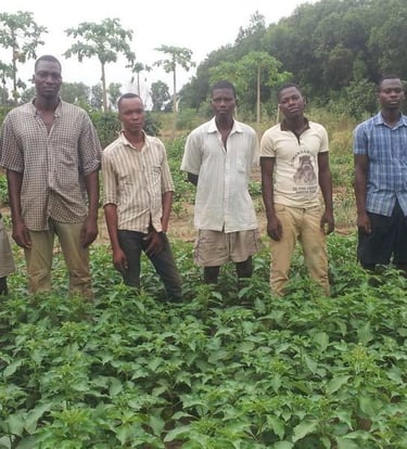 Les jeunes de la ferme d'Emmaüs Pahou qui participent à un programme de réinsertion sociale et pro