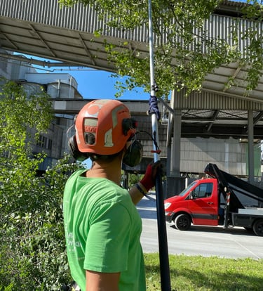 entretien d'espaces verts