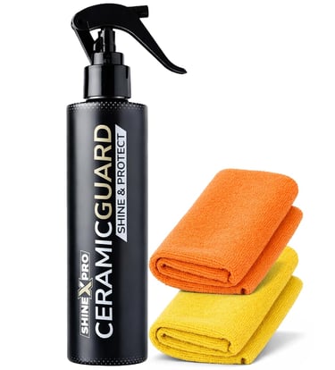 spray car cleaner