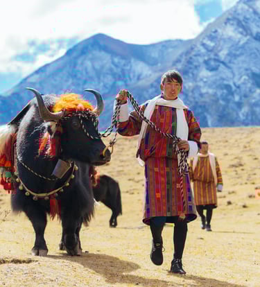 layap_the_people_of_laya_pulling_off_his_packed_animal_yak_during_laya-royal-highland-festival