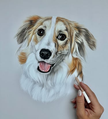 Pet portrait commission