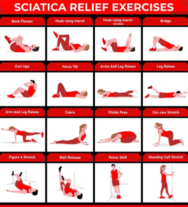 A chart of sciatica relief exercises including cobra, cat-cow stretch, and pelvic tilts for back pain.