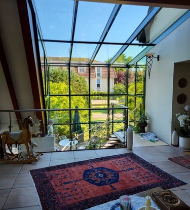 DV NET, votre expert en nettoyage de vitres et services professionnels à Molsheim