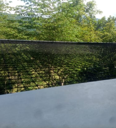 Catamaran fotografia en otro plano