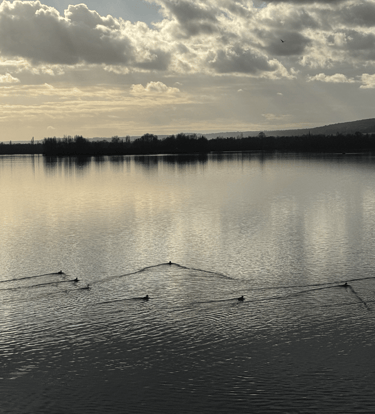 Base de loisir de Lery Poses