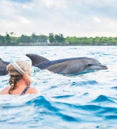 Guest snorkeling and swimming with dolphins during a Mnemba Island Zanzibar day tour