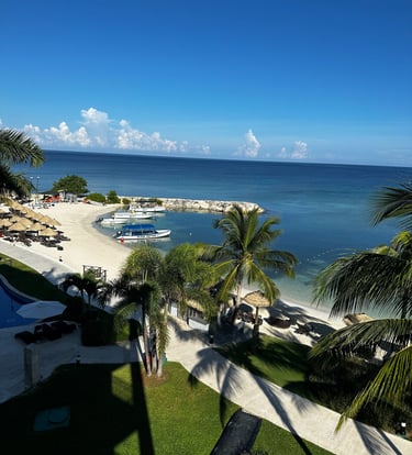 Aerial view of tropical beach resort with ocean and palm trees