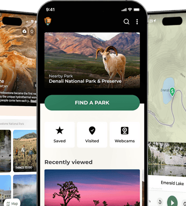 NPS app displayed on 3 smart phones