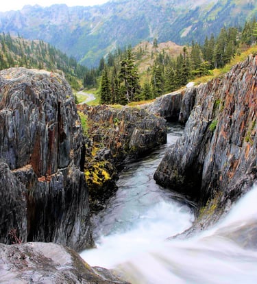 Olympic National Park